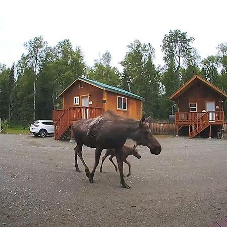Talkeetna Love-Lee Cabins Hotel ภายนอก รูปภาพ