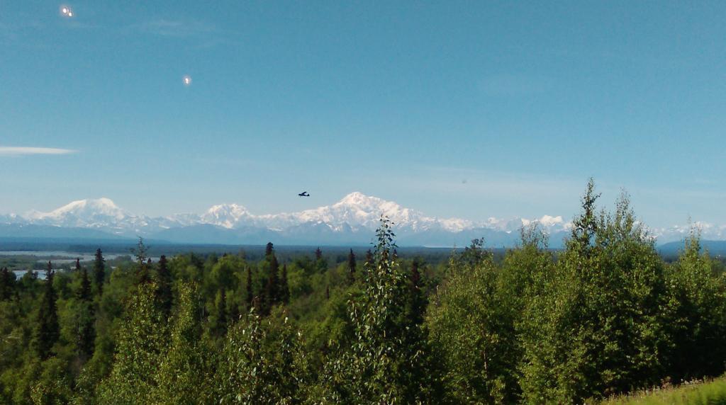 Talkeetna Love-Lee Cabins Hotel ภายนอก รูปภาพ