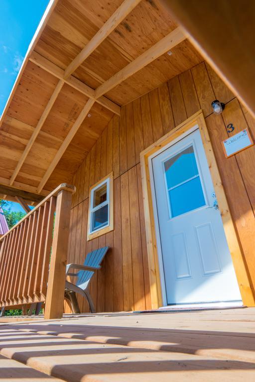 Talkeetna Love-Lee Cabins Hotel ภายนอก รูปภาพ