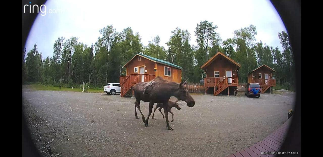 Talkeetna Love-Lee Cabins Hotel ภายนอก รูปภาพ